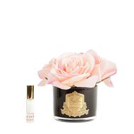 Home Diffuser Five Rose Cherry Pink in Black Glass with Gold Badge