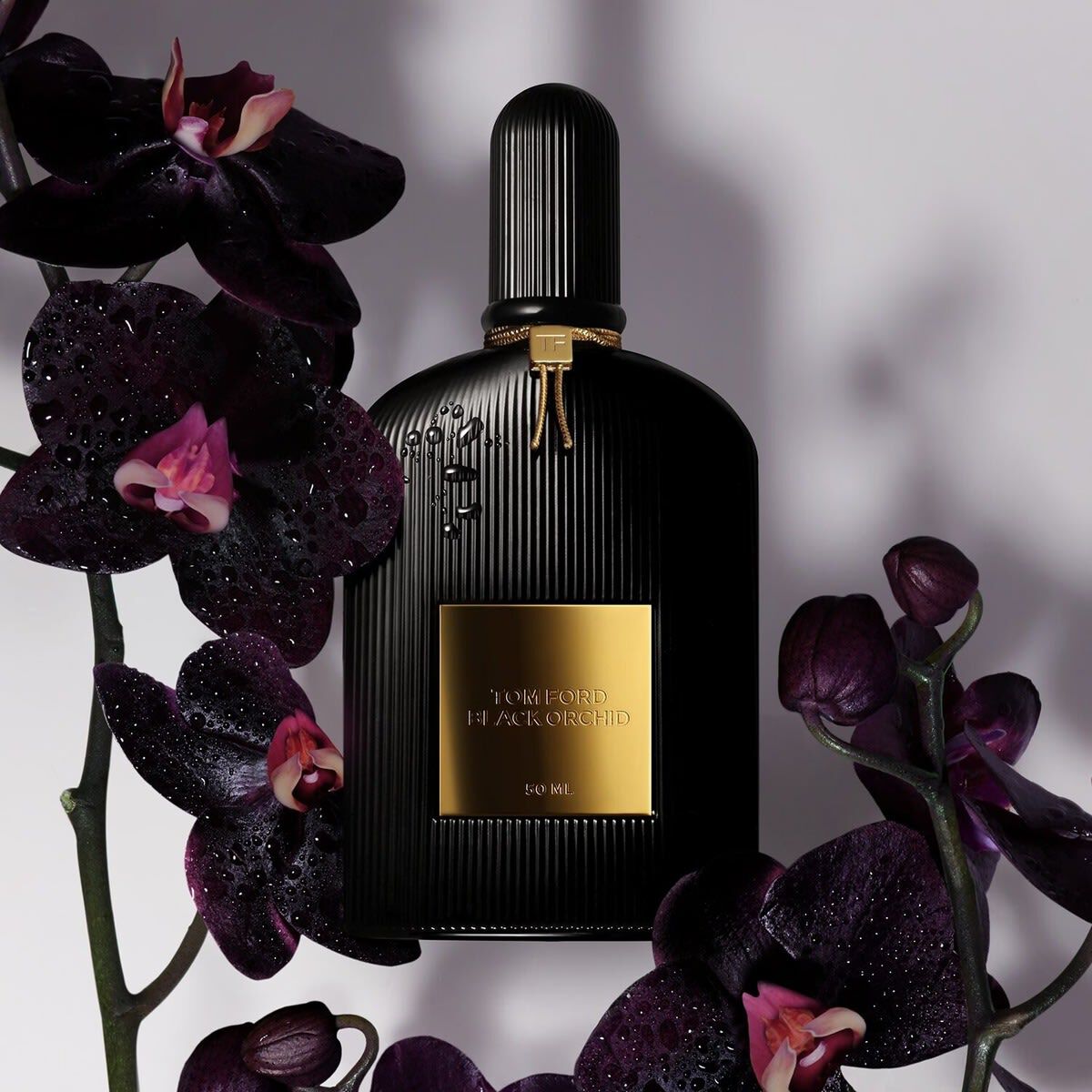 Parfum tom ford black orchid pas cher 2025