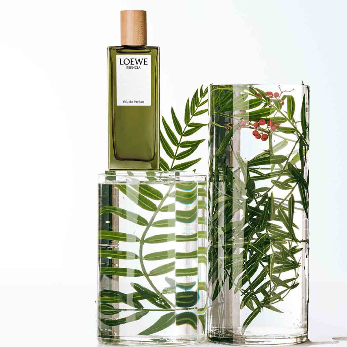 Loewe esencia shop edp liverpool