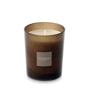 esteban paris cedre refillable scented candle 170g  moka edition