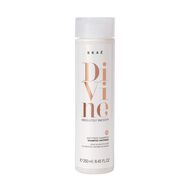 Divine Absolutely Smooth Anti Frizz Shampoo