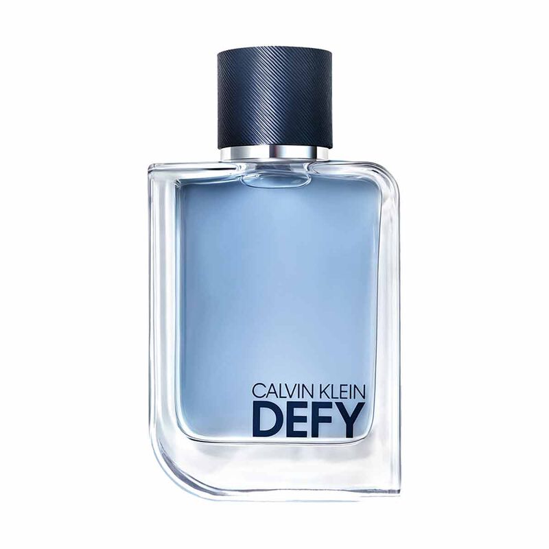 calvin klein defy eau de toilette for men