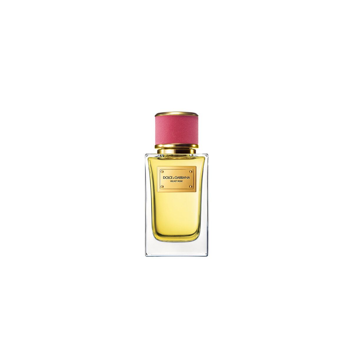 Dolce gabbana cheap velvet rose