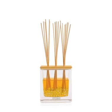 Amber Scented Bouquet Triptyque And Its 250ml Refill - Azure Grey Edition