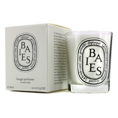 diptyque baies candle