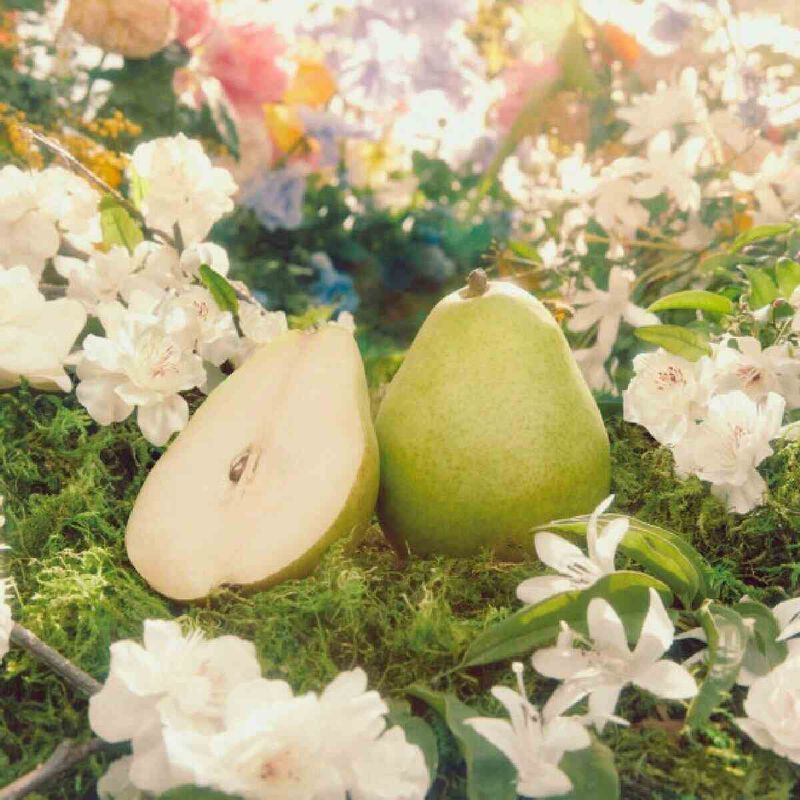 Flora Gorgeous Gardenia Eau de Parfum For Women Flora Gorgeous Gardenia Eau de Parfum For Women