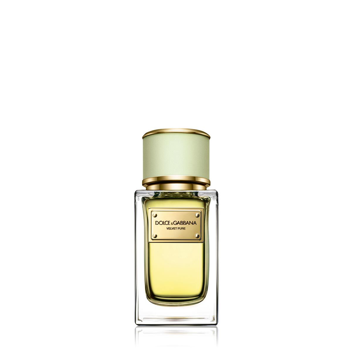 Dolce and gabbana online velvet pure