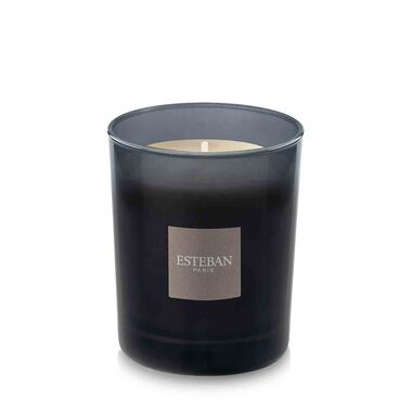 esteban paris teck & tonka refillable scented candle 170g  moka edition