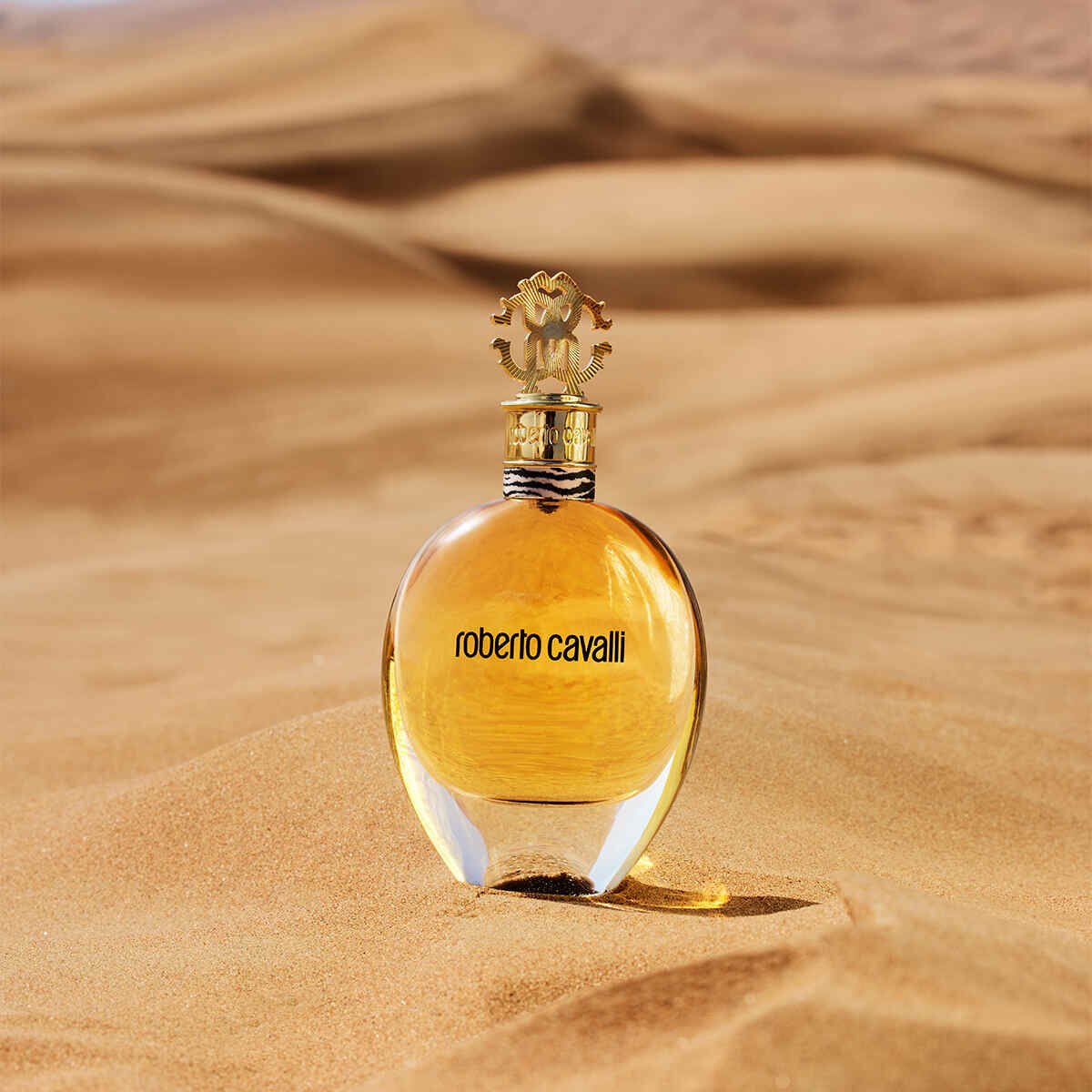 Cavalli perfume outlet