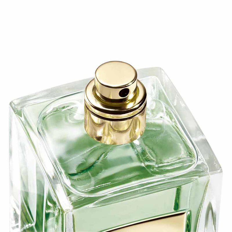 Armani Privé Cyprès Pantelleria Eau de Toilette Armani Privé Cyprès Pantelleria Eau de Toilette