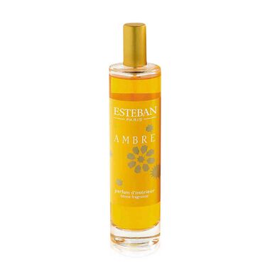 استيبان باريس بخاخ معطر للغرفة بعطر العنبر 100مل
