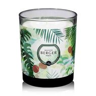 Candle Immersion 180 gm