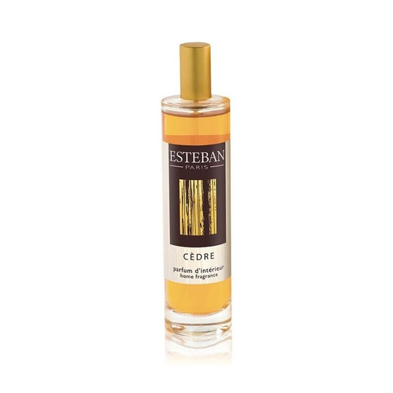 استيبان باريس بخاخ معطر للغرفة بعطر الأرز 100مل
