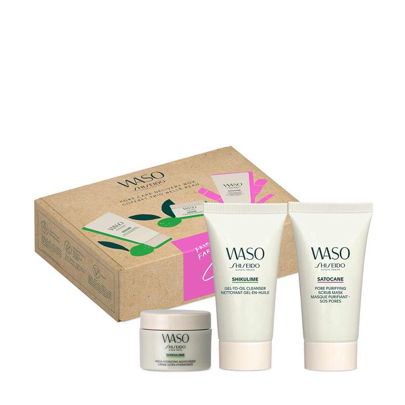 shiseido waso pore care kit
