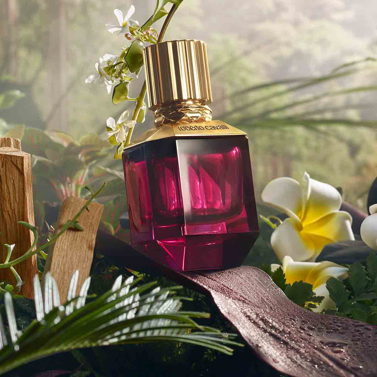 Shop Paradise Found for Her Eau de Parfum by Roberto Cavalli Online ...